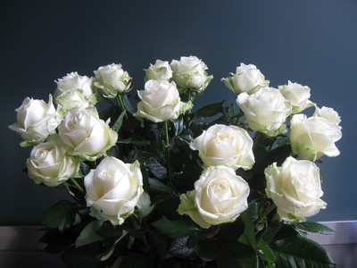 Nos Roses