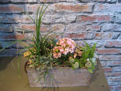 b.cornut_jardin_intérieur_pastel