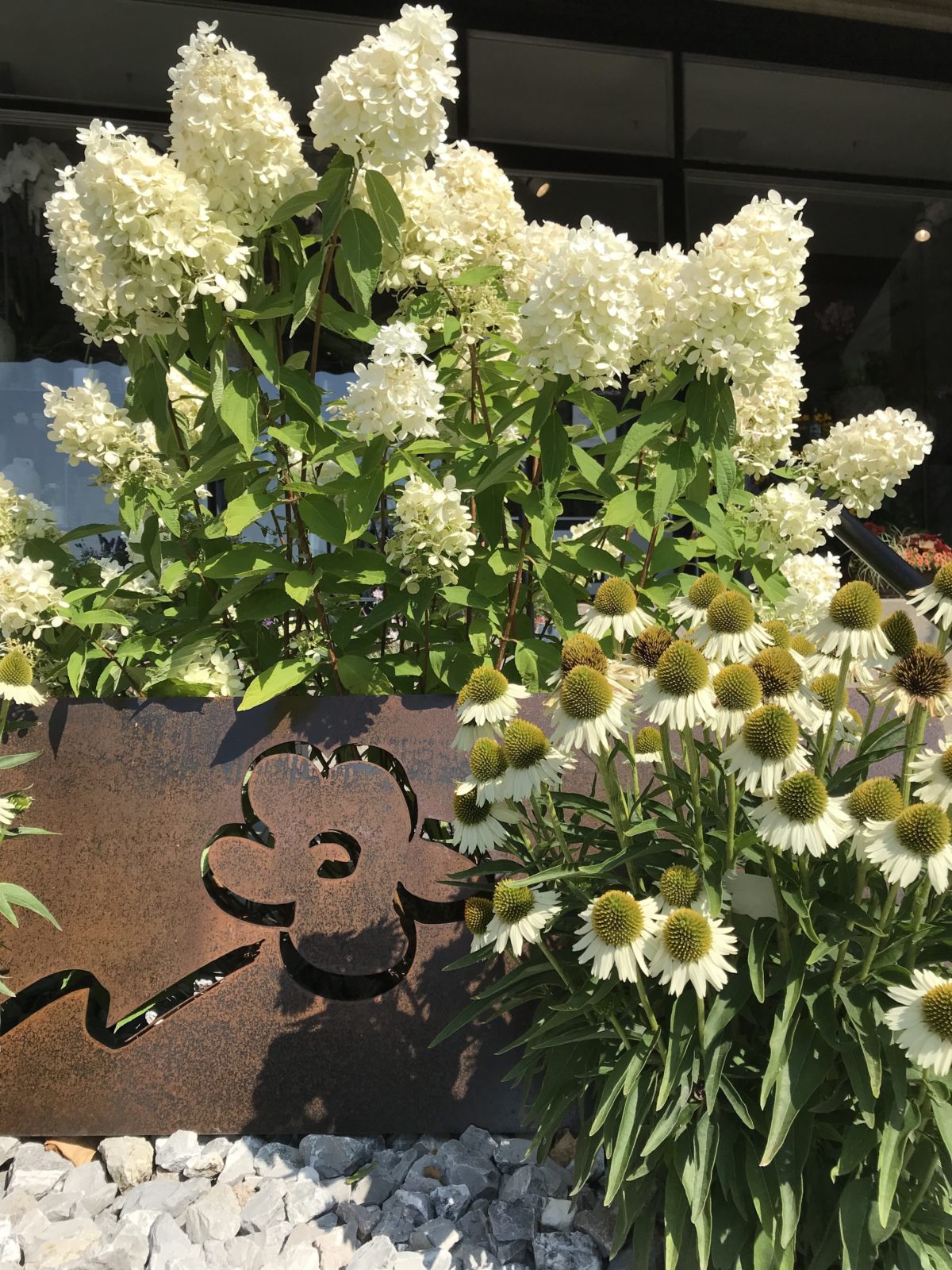 Fleurs Cornut - Av. de Channel 1 - Morges