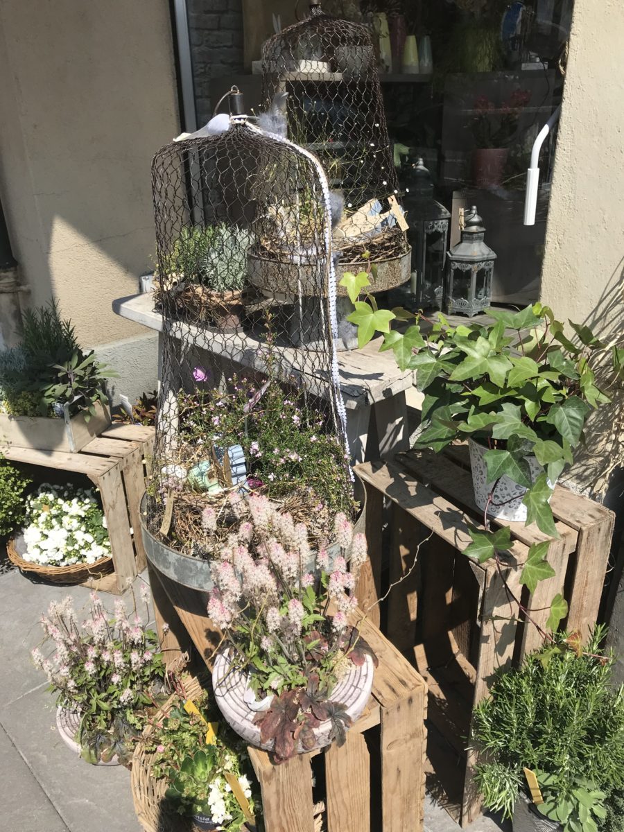 Fleurs Cornut - Av. de Channel 1 - Morges